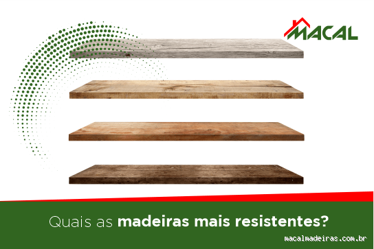 Qual madeira mais resistente à chuva e sol? Descubra agora!