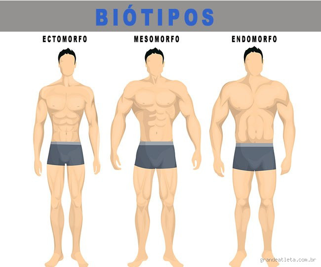 Como fica o shape de um Endomorfo? Descubra as características!