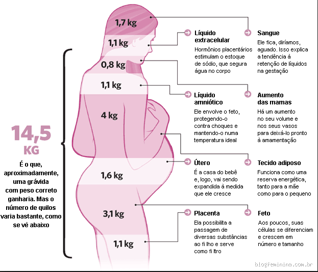 Quantos quilos engordar durante a gravidez? Descubra o ideal para você