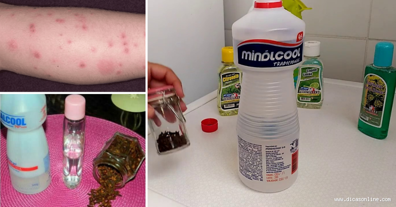 Como fazer repelente caseiro rápido e eficaz em poucos minutos