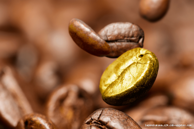Qual café é mais caro? Descubra os grãos de luxo!