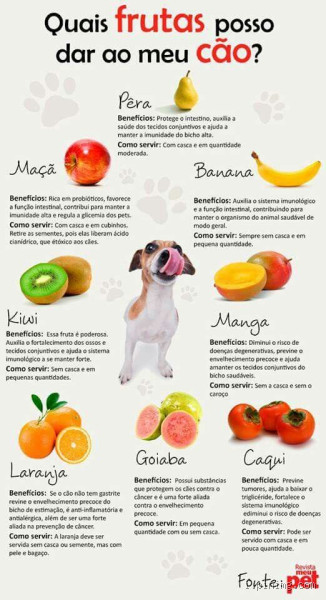 Qual fruta o cachorro pode comer todos os dias?