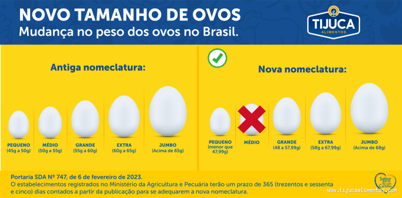 Quantos ovos dão 1 kg? Descubra a resposta e outras curiosidades!
