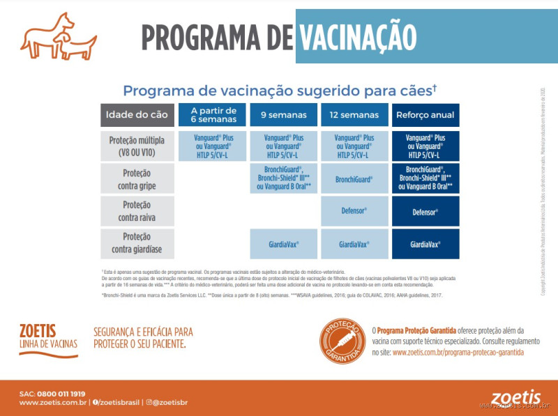 Quais as 3 vacinas para o cachorro?