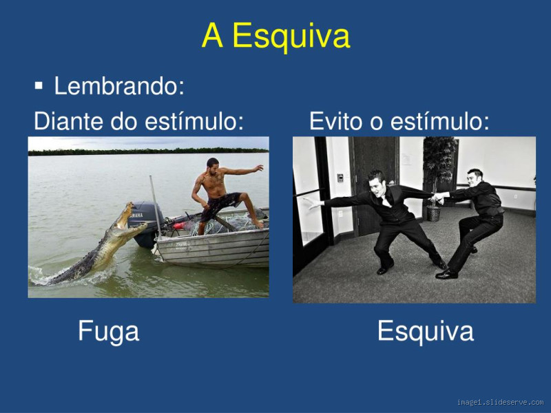 O que é esquiva na psicologia? Entenda seu impacto emocional